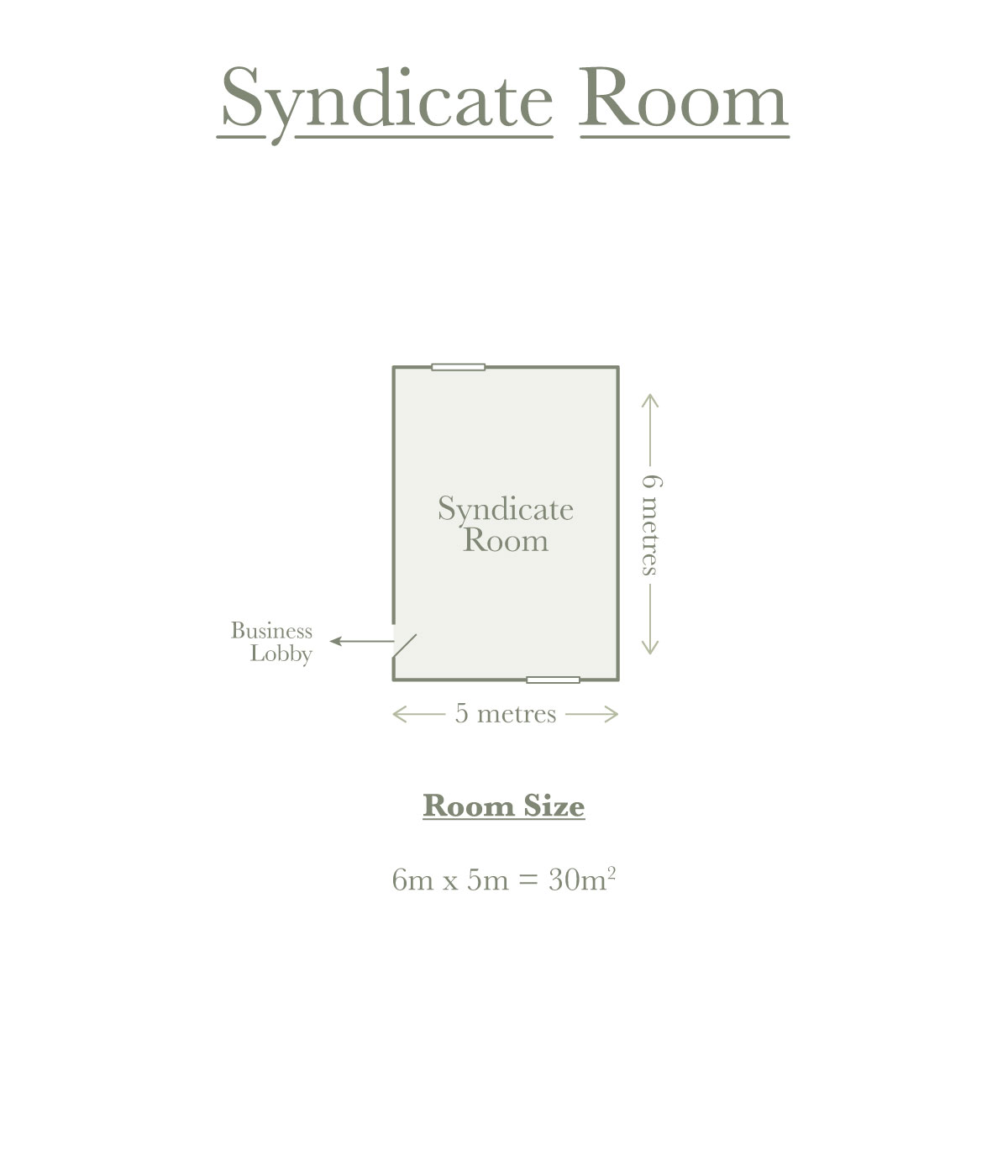 Syndicate Room Plan with Measurements