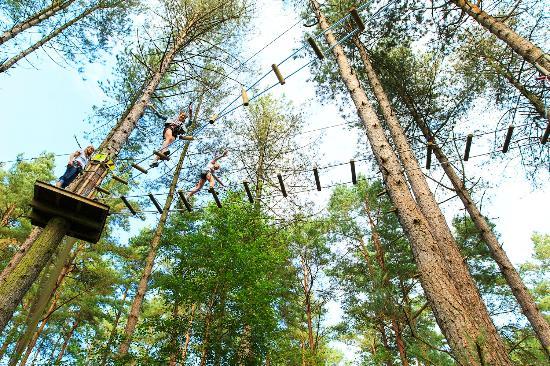 Go Ape Sherwood